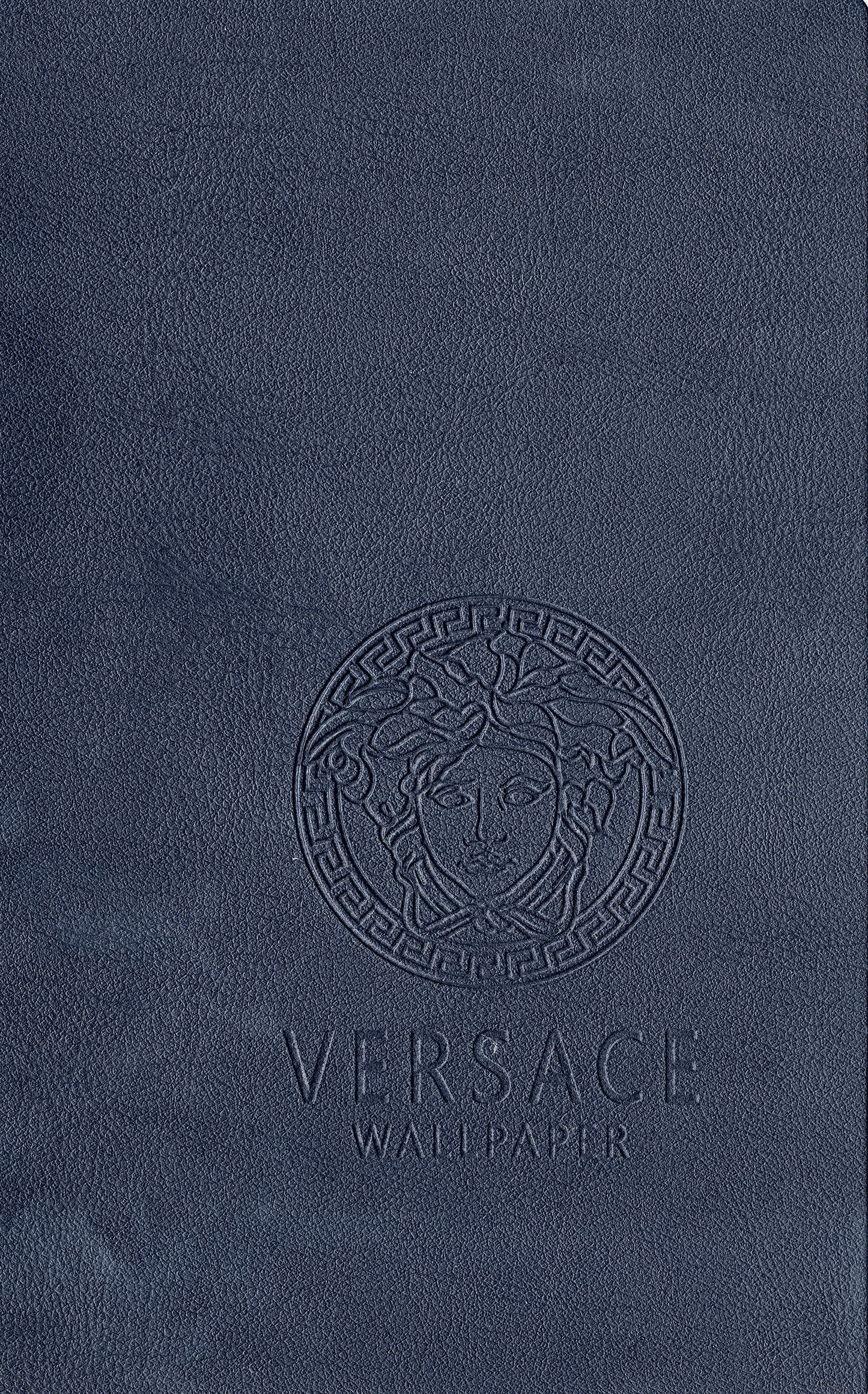 Blue Versace Leather skin