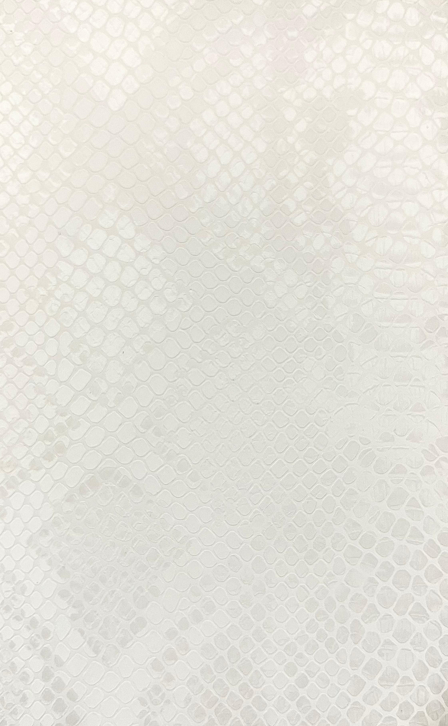 Elegant white Snake Skin