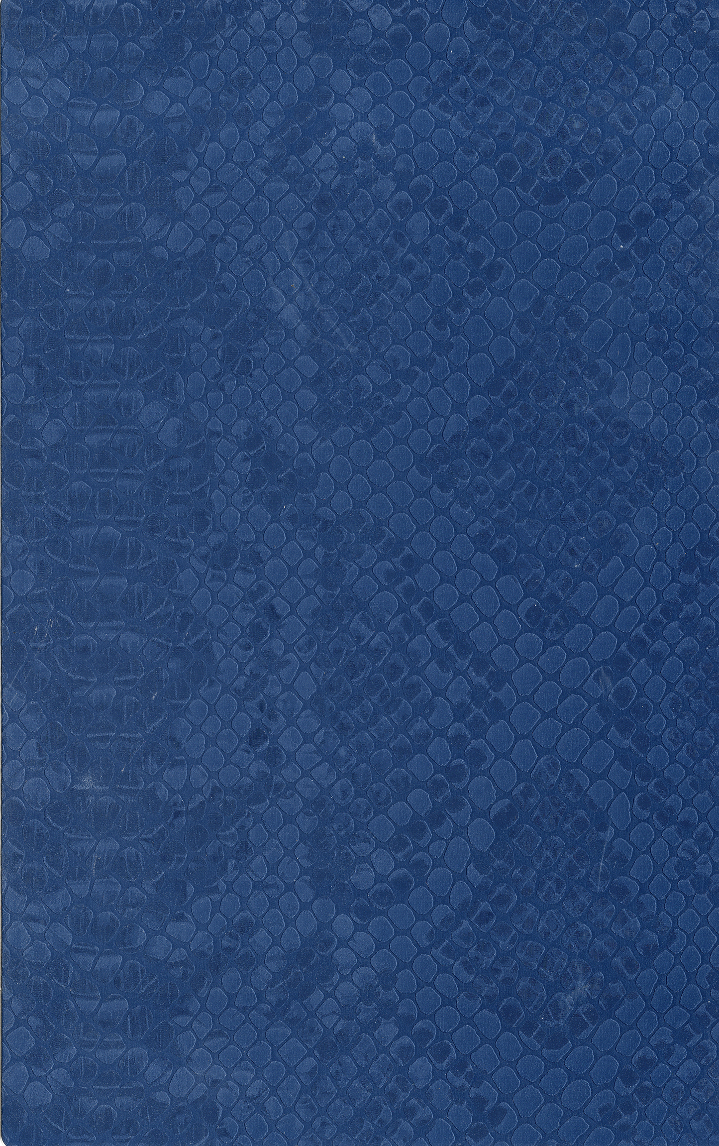Elegant Blue Snake Leather skin