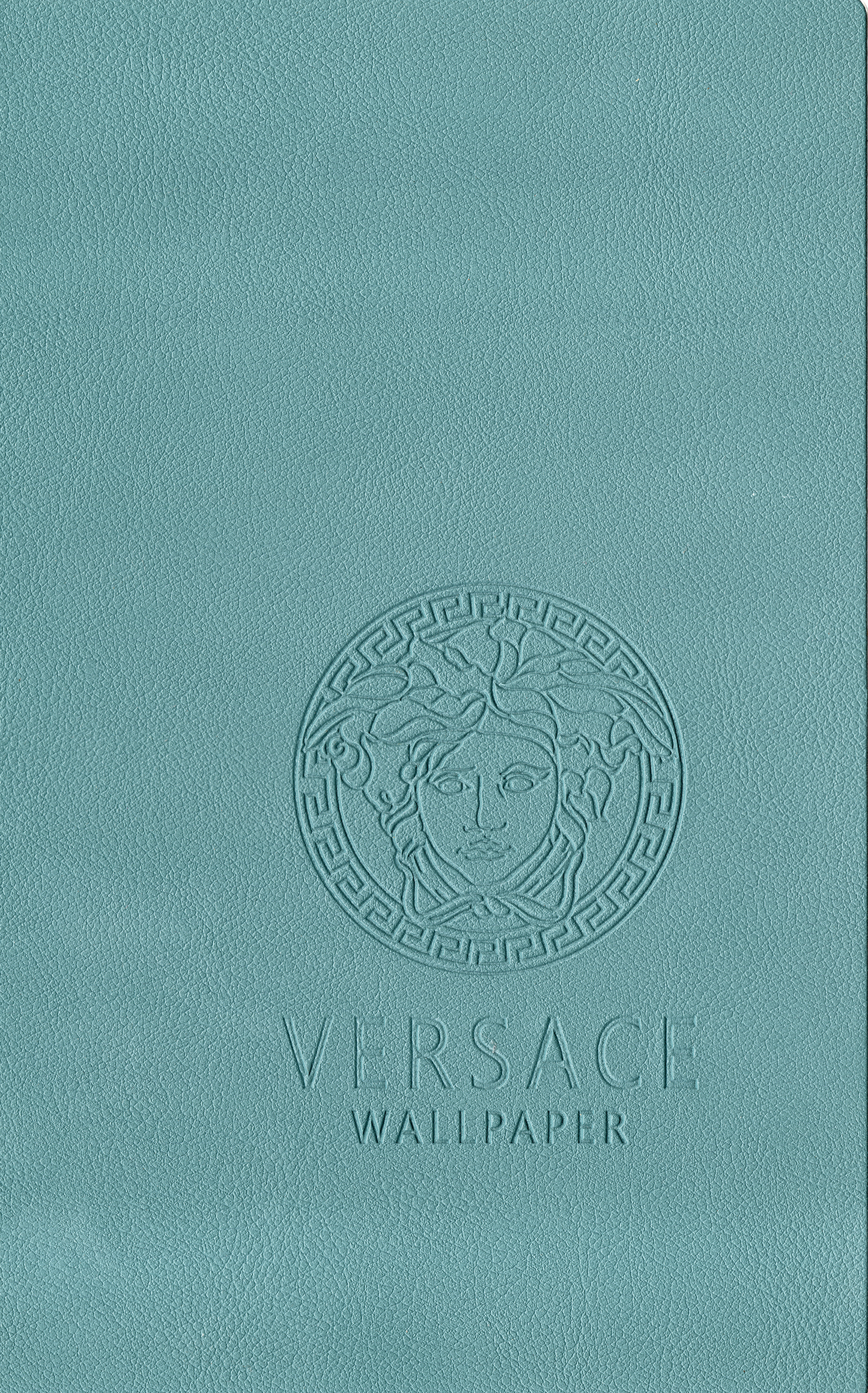 Green Versace Leather skin
