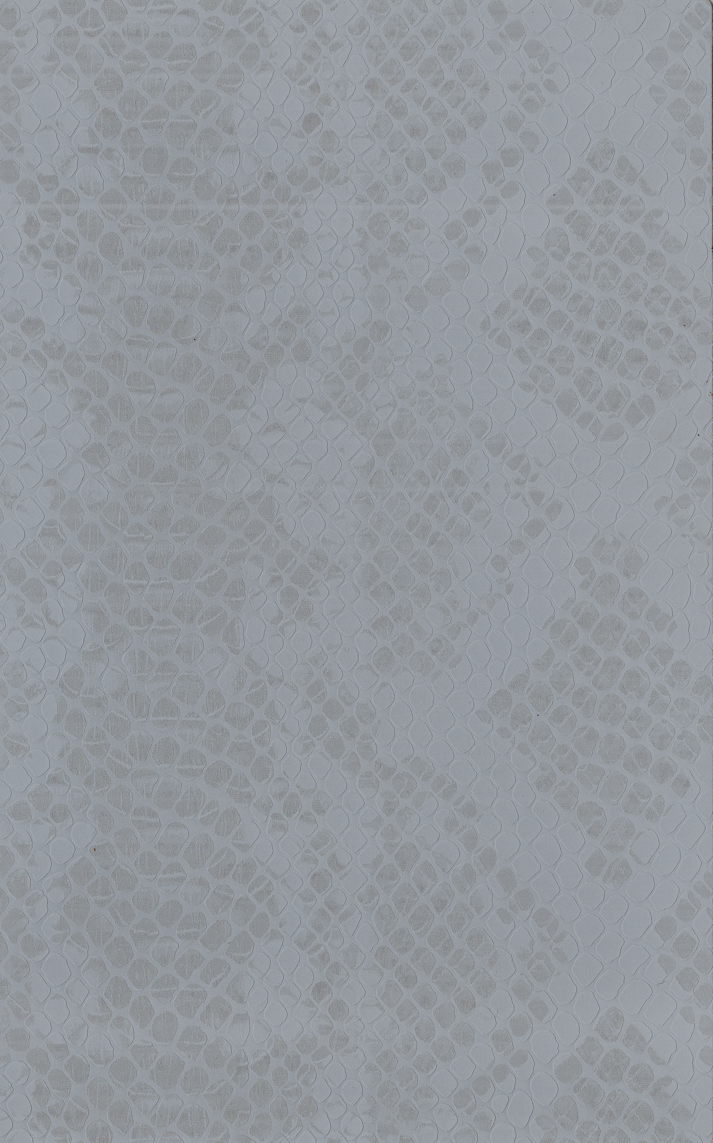 Elegant Silver snake Leather skin